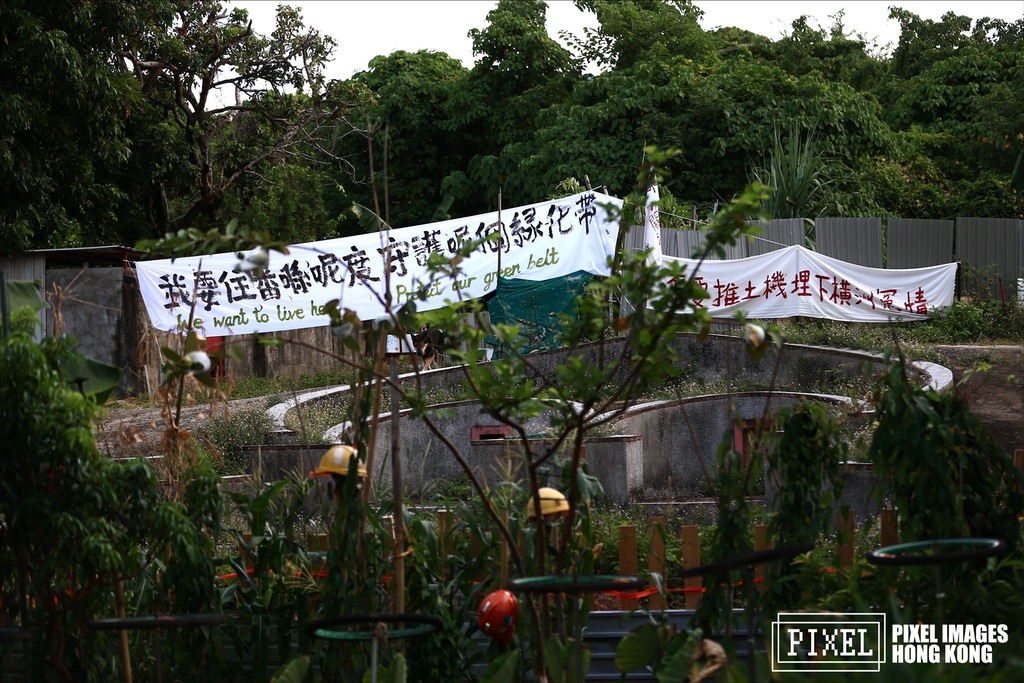 【7.29 橫洲土地發展項目｜三村收地事件】